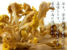 乾燥たもぎ茸 12g 北海道産きのこ(幻のキノコ 乾燥タモギタケ)食物繊維・ミネラル等が豊富で長期保存が可能なデトックス食材_画像7