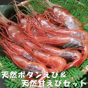  натуральный креветка Botan shrimp 500g(L размер )& натуральный северная креветка 500g(LA размер ) комплект (...... Ebino комплект ).. море .(.....).. море .(....)