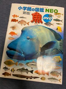 小学館の図鑑NEO 魚 新版 DVD無し 2018年発行