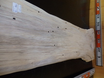 e2051146 ポプラ●約94.5cm×厚1.5cm☆無垢板１枚板 木材 板 DIY 板材 天板 棚板 テーブル 看板 花台など種類豊富！_画像3
