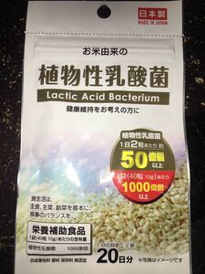 植物性乳酸菌　日本製タブレットサプリメント