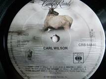  Carl Wilson『S.T.』LP Soft Rock ソフトロック The Beach Boys_画像4