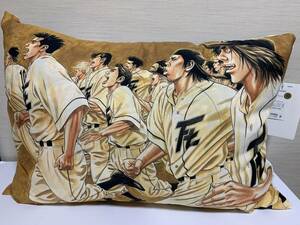 ROOKIES(ルーキーズ) カバー付き まくら 43×63cm 橙 カバー本体 別デザイン ピロー ニコガク 野球部 インテリア/ 新品 未使用品 タグ付き