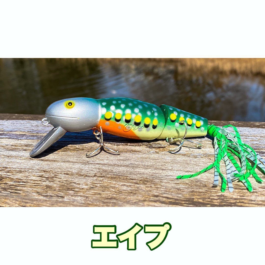 ヤフオク! -スーパールーパーの中古品・新品・未使用品一覧