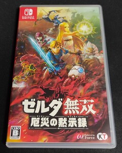 ゼルダ無双 厄災の黙示録 Nintendo Switch ニンテンドースイッチ