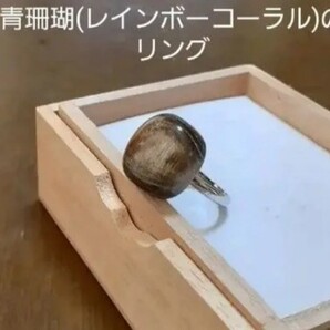 超希少価値!青珊瑚(レインボーコーラル)のリング