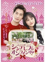 【中古】シンデレラはオンライン中！ Vol.14 b28476【レンタル専用DVD】