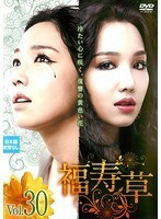 【中古】福寿草 30 b39011【レンタル専用DVD】