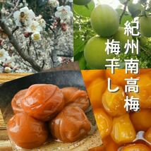 【訳あり】はちみつ梅干し1kg　紀州南高梅　【農家直送】梅干_画像4