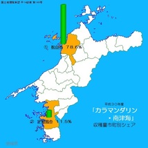 4/28収穫 越冬春みかん カラマンダリン 加工用 5kg 無選別 家庭用より傷や黒い点々が多いもの 愛媛県中島産 120_画像5