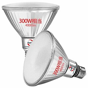 Explux 超高輝度LEDビーム電球 300W相当 (消費電力29W・驚き輝度4000lm) PAR38 E26口金 昼白色 ガラスボディ屋外防水防劣化 調光器非対応