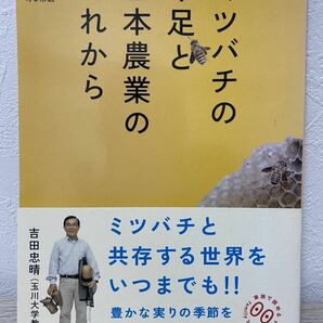 ミツバチの不足と日本農業のこれから (家族で読めるfamily book series―たちまちわかる最新時事解説) 吉田忠晴