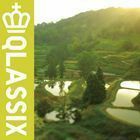 [国内盤CD] FPM/QLASSIX