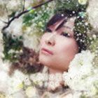 この雲の果て（通常盤／CD＋DVD） 今井麻美