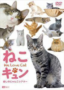 シンフォレストDVD ねこキュン 癒しのにゃんこシアター We Love Cat