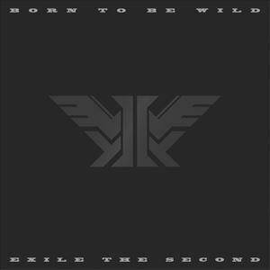 BORN TO BE WILD（豪華盤／CD＋3DVD（スマプラ対応）） EXILE THE SECOND