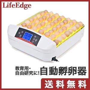  maximum 56 piece automatic rotation egg . egg vessel . egg machine . egg vessel .. vessel in kyu Beta - home use small size birds exclusive use . egg vessel child education for free research 