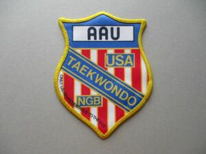 80s テコンドーAAU USA TAEKWONDO NGBワッペン/拳法アマチュアスポーツUSA格闘技ビンテージ武術スポーツ武道アップリケ星条旗パッチ V160