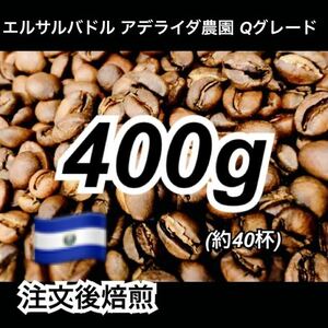 【送料無料】エルサルバドルSHGアデライダ農園 Qグレード 400g コーヒー豆