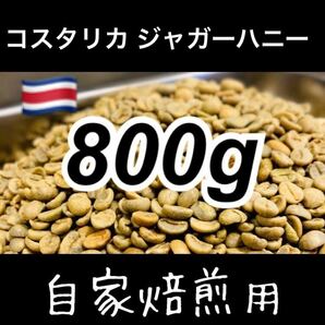 【送料無料】コスタリカ ジャガーハニー 800g 生豆