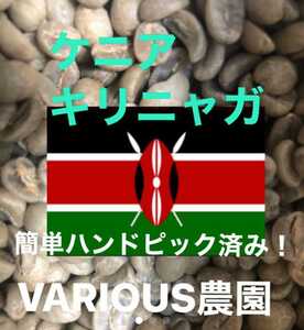 ケニア　キリニャガ900gコーヒー生豆！焙煎してません！簡単なハンドピック済み！