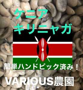 ケニア　キリニャガ400gコーヒー生豆！焙煎してません！簡単なハンドピック済み！