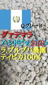 グァテマラSHBディピカ100%ラ・ブルブハ農園コーヒー生900g!簡単なハンドピック済み!
