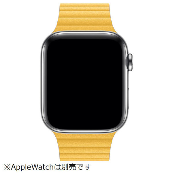 Apple Watch 42mm レザーループの値段と価格推移は？｜27件の売買情報 
