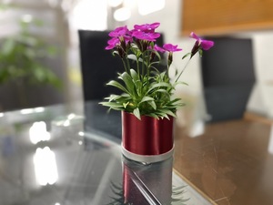  Cardinal red planter potted plant gardening jpy tube type bottom hole domestic production high quality aluminium ( compact size )