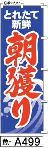 ふでのぼり 朝獲り(魚-a499)幟 ノボリ 旗 筆書体を使用した一味違ったのぼり旗がお買得【送料込み】まとめ買いで格安