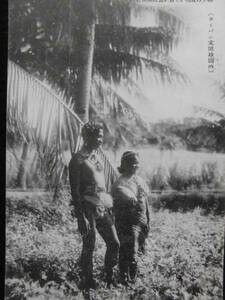 南洋絵葉書★風俗　サイパン島　椰子の実抱いてカナカは微笑む　単色　未使用