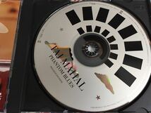 Taj Mahal★中古CD/US盤「タジ・マハール～Phantom Blues」_画像3
