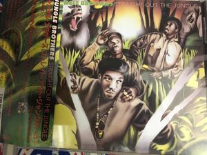 Jungle Brothers★中古CD国内盤帯付「ジャングル・ブラザース～ストレイト・アウト・ジャングル+α」