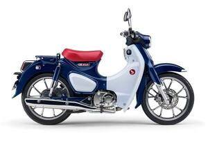 スーパーカブc125　純正色塗料 　レトロブルー（レッグシールド）　250gセット∝