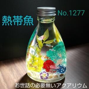 再sale！ No.1277 熱帯魚バージョン ハーバリウム