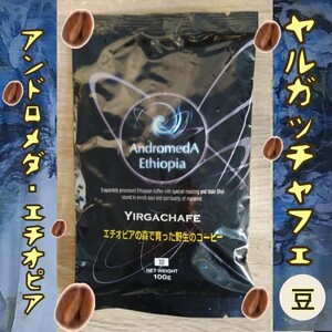 100g豆☆ヤルガッチャフェ☆アンドロメダエチオピアコーヒー☆野性のコーヒー
