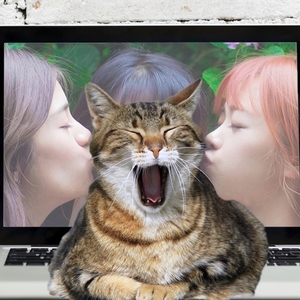 ; kb461 PCモテ 猫 A4プリント アート 現代美術 ねこ画 ネコ画 合成写真 ねこちゃん にゃんこ ニャンコ ねこあそび 猫まね funny cat Art