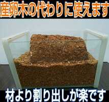 カブトムシマットにブロックのまま埋め込むと幼虫が潜り込みモリモリ食べて大きくなる！椎茸菌床4個☆クヌギ100％原料使用☆産卵材にもOK！_画像10