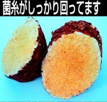 カブトムシマットにブロックのまま埋め込むと幼虫が潜り込みモリモリ食べて大きくなる！椎茸菌床4個☆クヌギ100％原料使用！産卵材にもOK！_画像4