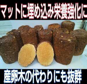 カブトムシマットにブロックのまま埋め込むと幼虫が潜り込みモリモリ食べて大きくなる！椎茸菌床4個☆クヌギ100％原料使用☆産卵材にもOK！