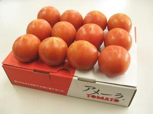さんきん〓静岡県産 高糖度 フルーツトマト アメーラ 約1kg