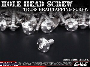 M5×16mm SUSステンレス ホールヘッドネジ H-1 タッピングネジ トラス頭 フランジ カウルやパネルなどに シルバー TC0108