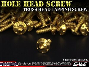 M5×25mm SUSステンレス ホールヘッドネジ H-1 タッピングネジ トラス頭 フランジ カウルやパネルなどに ゴールド TC0115