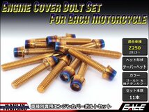 Z250(ER250)用 エンジンカバー ボルト11本セット ステンレス製キャップボルト使用 CTCテーパーヘッド ゴールド&焼チタンカラー TB8058_画像1