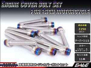 Z250(ER250)用 エンジンカバー ボルト11本セット ステンレス製キャップボルト使用 CTCテーパーシェルヘッド シルバー&焼チタンカラーTB8061