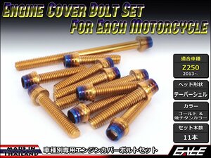 Z250(ER250)用 エンジンカバー ボルト11本セット ステンレス製キャップボルト使用 CTCテーパーシェルヘッド ゴールド&焼チタンカラーTB8062