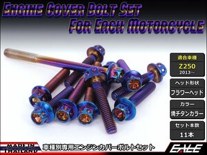 Z250(ER250)用 エンジンカバー ボルト11本セット ステンレス製フランジ付六角ボルト使用 フラワーヘッド 焼チタンカラー TB8056