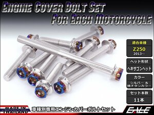 Z250(ER250)用 エンジンカバー ボルト11本セット ステンレス製フランジ付六角ボルト CTCヘキサゴンヘッド シルバー&焼チタンカラー TB8059