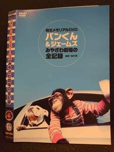 ○008575 レンタルUP●DVD パンくんとジェームズ みやざわ劇場の全記録 0024 ※ケース無