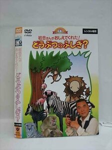 ○008169 レンタルUP▲DVD 岩合さんがおしえてくれた! どうぶつのふしぎ? 50012 ※ケース無